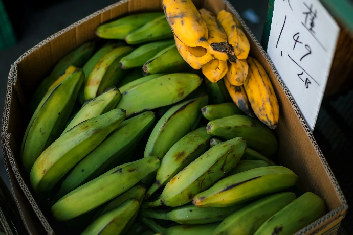 Víveres dominicanos: plátano verde y maduro para hoteles y restaurantes